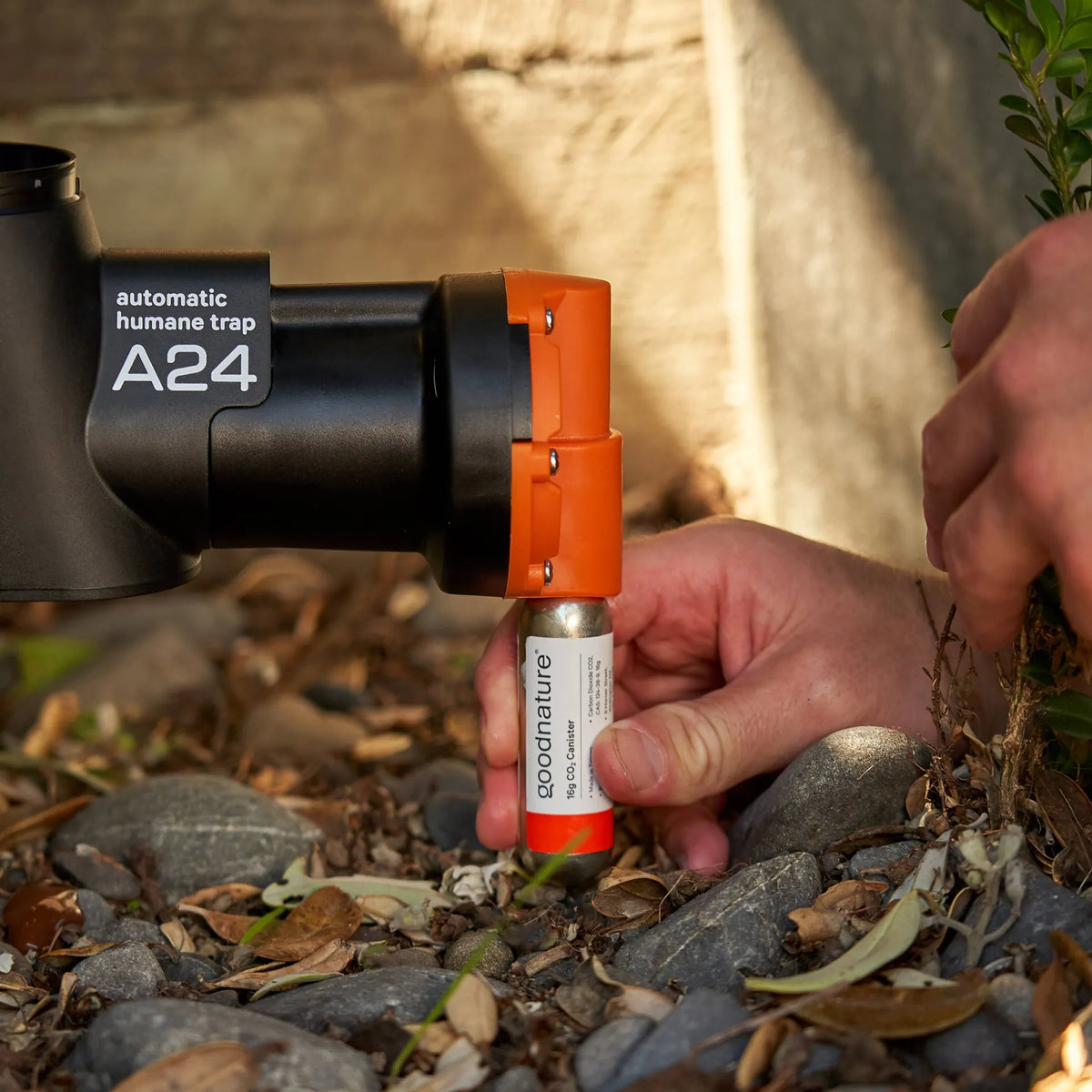 Smart Cap GoodNature A24